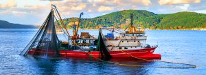 Fishing boat equipped with various metal applications